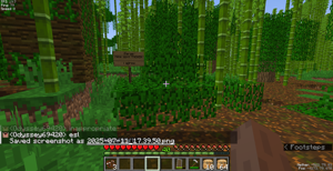 Screenshot (821).png